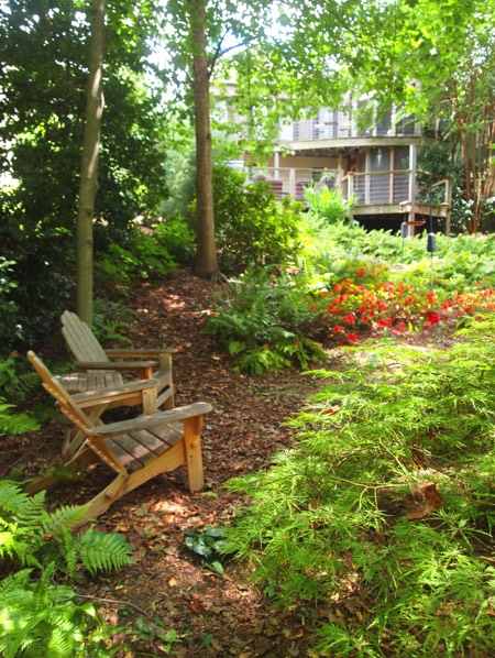 Shady woodland seating